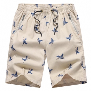 Bomuldsshorts Herre Sommer Fem Points Tynd Strand Løs Casual