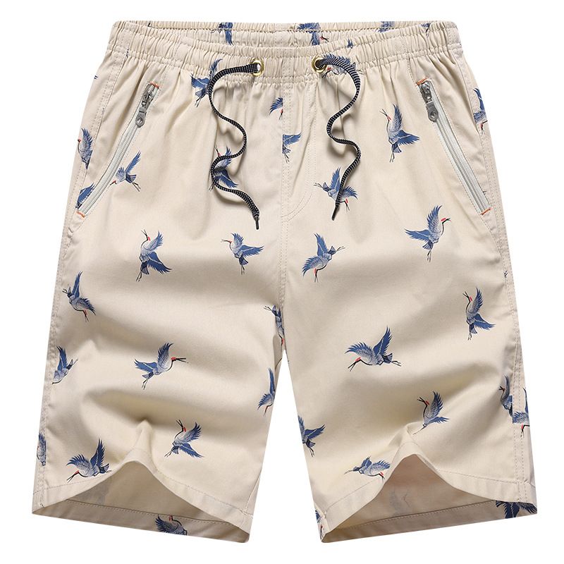 Bomuldsshorts Herre Sommer Fem Points Tynd Strand Løs Casual