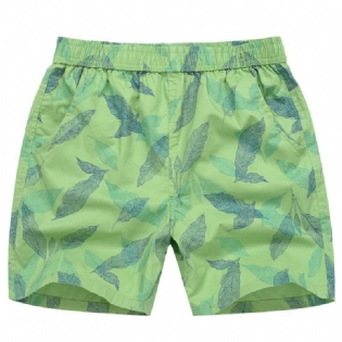 Herreshorts Home Four Points Loose Beach Sports